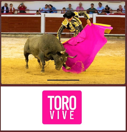 Cali Defiende su Fiesta: La Feria Taurina 2025 Brilla con Fuerza y Tradición