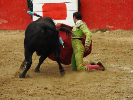 Arbeláez: Torería de Altura con el Encierro de Ernesto Gutiérrez