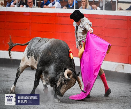 Tapabocas: El Toro que Escribió la Eternidad en Bilbao