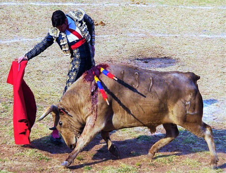 Cristóbal Pardo: El Camino de un Torero en Busca de Grandeza