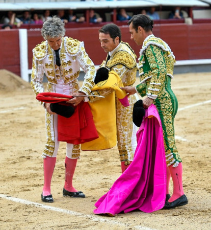 Madrid: Noé, el Pulso de Madrid