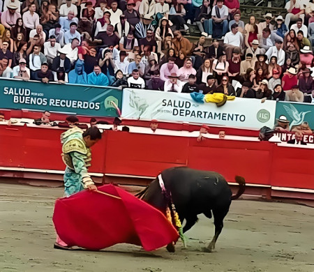 Manizales: Cuando la Casta No Basta