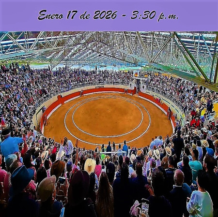 Puente Piedra se Viste de Toros: Bogotá Recupera su Pulso Taurino