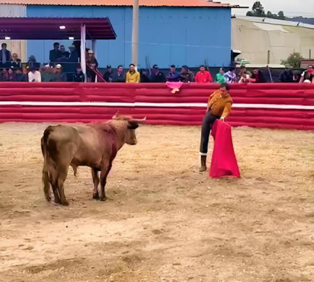 Zipaquirá: Los Toros Viven y Leandro Profundiza
