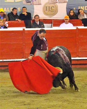 5ª de Feria, Festival: Sin Toro No Hay Arte