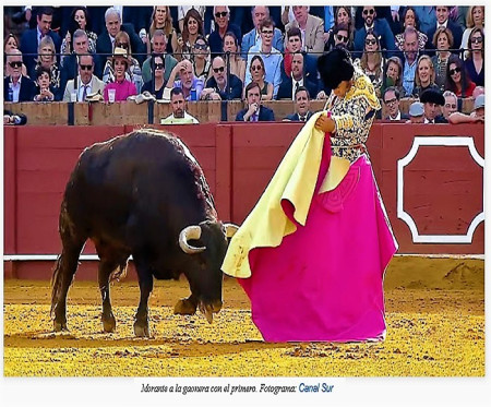 Sevilla: Corrida Con Todo