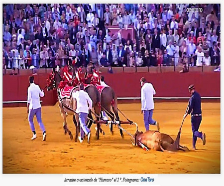 Sevilla: Mansos en la Ventisca