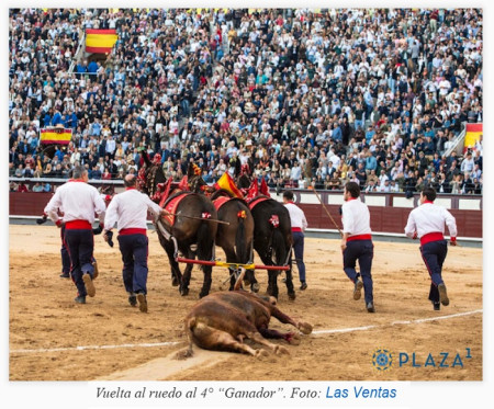 San Isidro: El Estado de la Cuestión