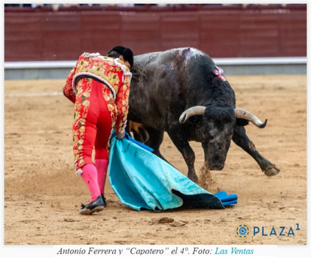 San Isidro: Sálvanos Señor