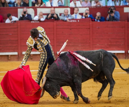Jerez de la Frontera Rugió
