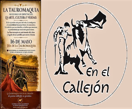 Tauromaquia: Llama Cultural Que Sigue Viva 