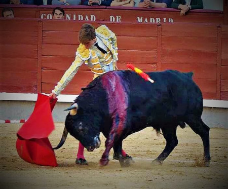 San Isidro: Novillada de Actitud y Verdad