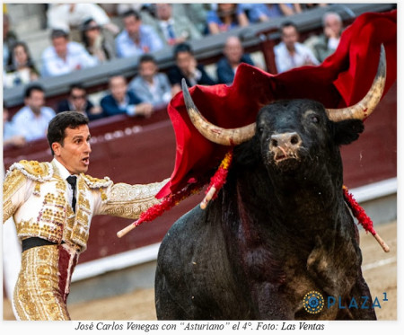 San Isidro: El Toro Que No Se Deja