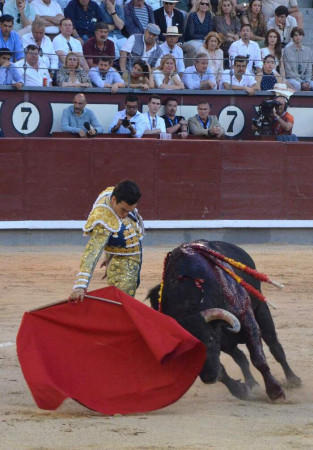San Isidro: Un Toro y Un Torero