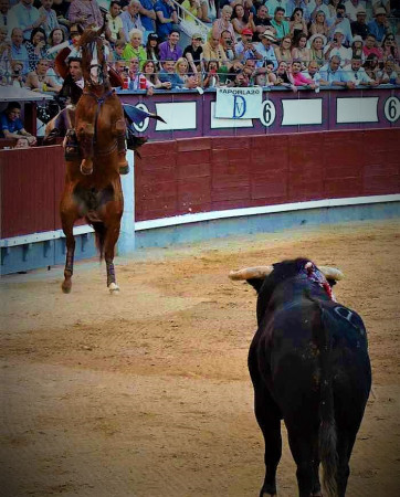 San Isidro: La Corrida Donde Ganó el Toreo