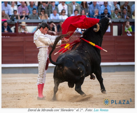 San Isidro: Un torazo 