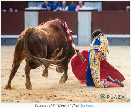 San Isidro: Pedraza Vence