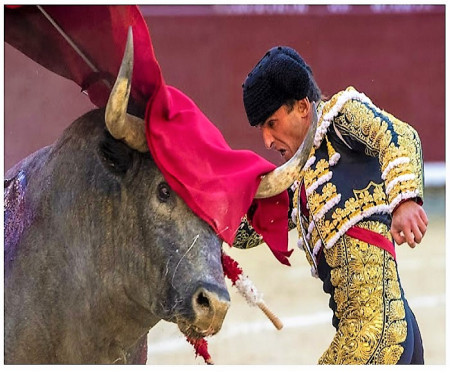 San Isidro: El Toro Fiero