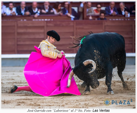 San Isidro: Variedades