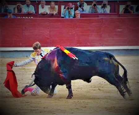 San Isidro: Sin Toro No Hay Gloria