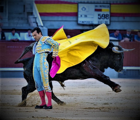 Las Ventas: Más Allá de la Herida