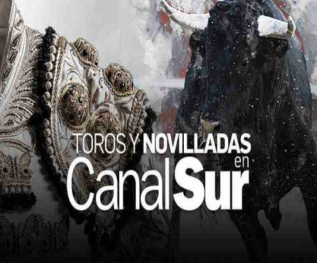 Televisión: Málaga Enciende La Mecha Taurina
