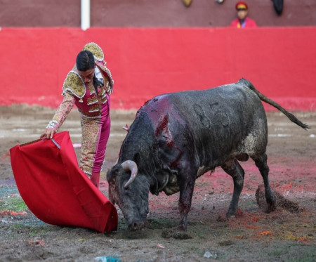 Manolo Castañeda, 3 Orejas y Una Tarde Para Creer