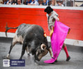 Tapabocas: El Toro que Escribió la Eternidad en Bilbao