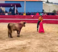 Zipaquirá: Los Toros Viven y Leandro Profundiza
