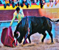 Castellón: Cierra con Bravura Ausente