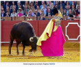 Sevilla: Corrida Con Todo