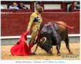 San Isidro: En los Terrenos del Toro