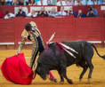 Jerez de la Frontera Rugió