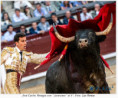 San Isidro: El Toro Que No Se Deja