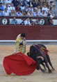 San Isidro: Un Toro y Un Torero