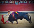 San Isidro: Sin Toro No Hay Gloria