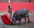 Manolo Castañeda, 3 Orejas y Una Tarde Para Creer